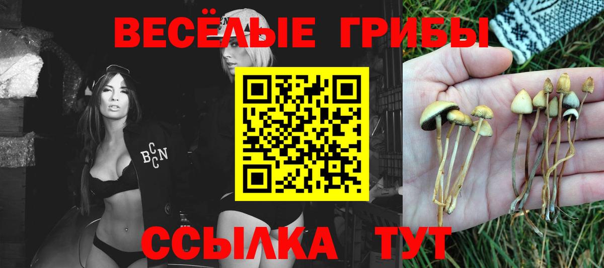 Галлюциногенные грибы ЛСД  Галлюциногенные грибы прущие грибы  Вход с VPN  Северобайкальск 